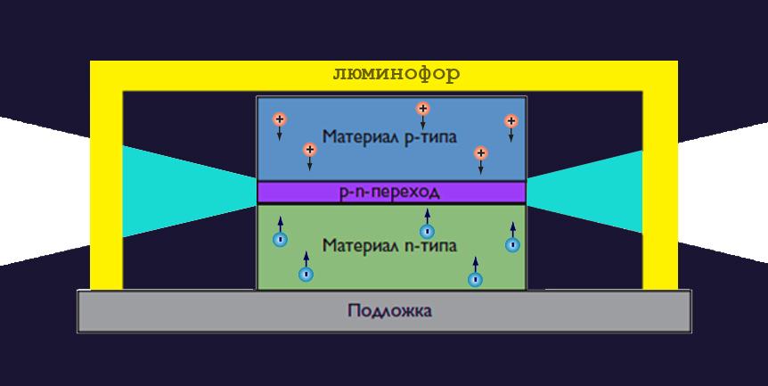 загружено (2).jpeg